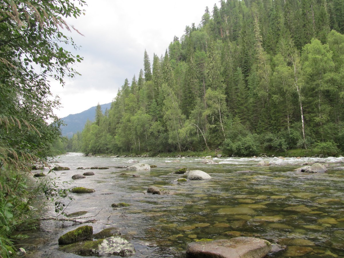 Сибирь Тайга и река