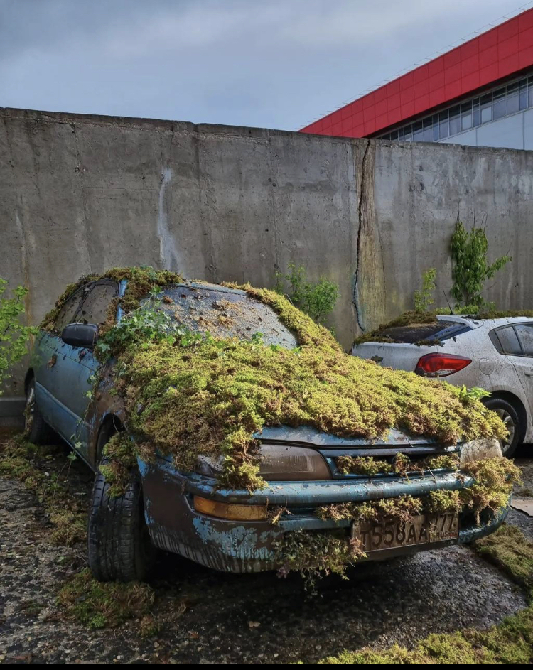 Дизельгейт Volkswagen кладбище автомобилей