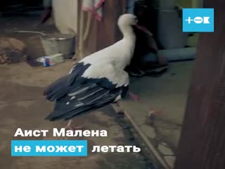 Любовь длиною в 16 лет...