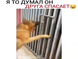 Для любви нет преград