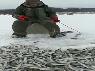 Пассивная рыбалочка. (Матерок)