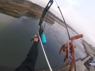 Мировой рекорд стрельбы из лука в рыбу