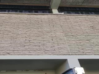 Какаду-бунтарь скидывает шипы от птиц c австралийского здания