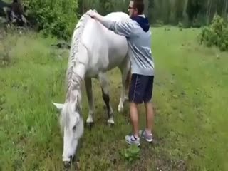 А потому что не надо подходить к лошади сзади