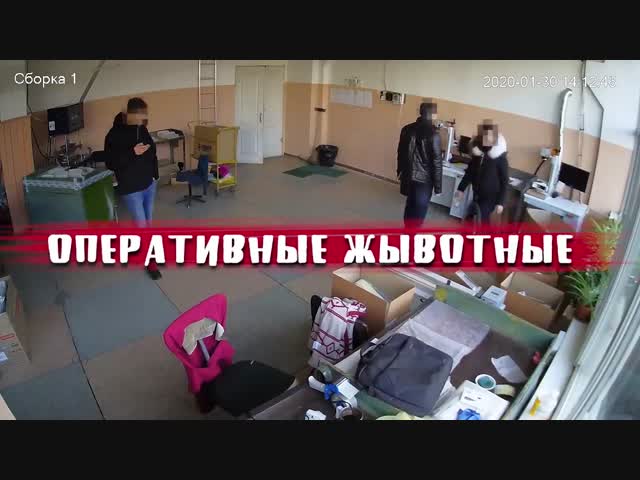 Одесские полицейские украли несколько вещей во время обыска.