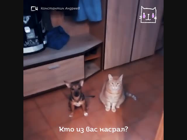 Расследование года