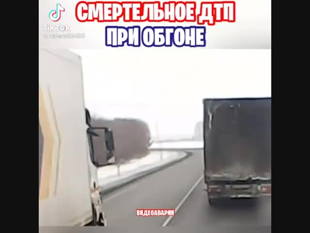 Откуда такие берутся?