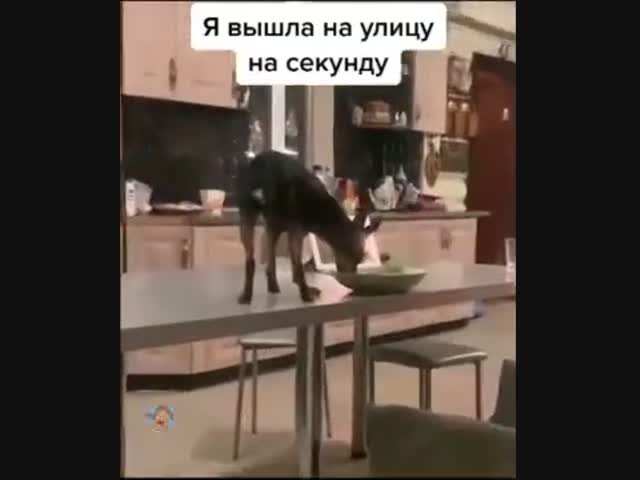 Люсе стыдно