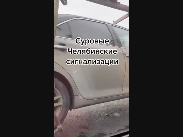 *Вы напугали автомобиль*