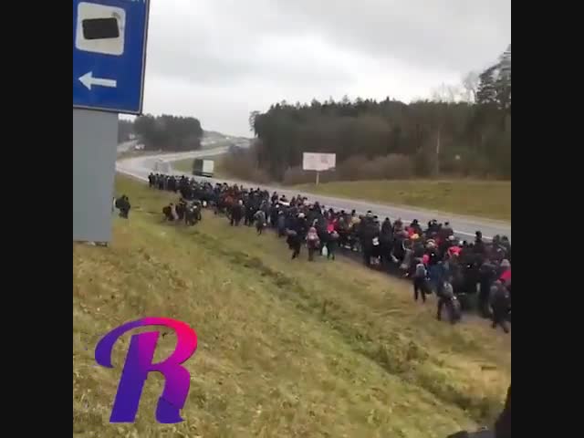 Сирийские беженцы направляются к польской границе