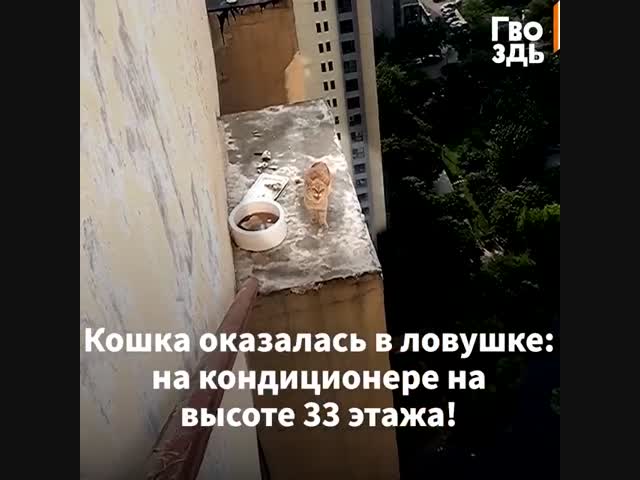 Повисла на высоте в 33 этажа!