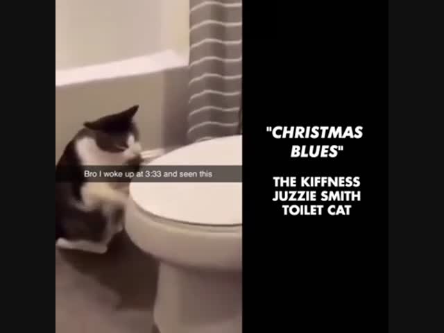 Christmas Blues - Toilet Cat X The Kiffness X Juzzie Smith