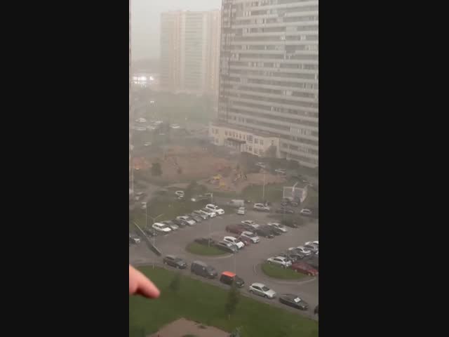 Ураган в Петербурге
