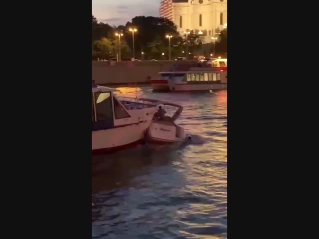 Дорожные войны на воде