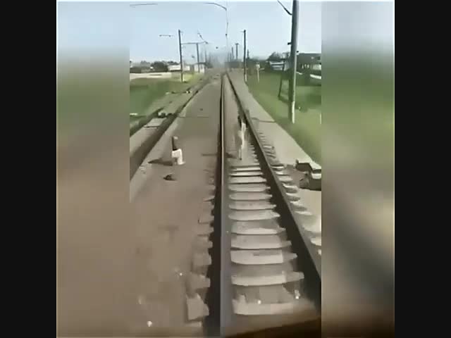 Под поезд