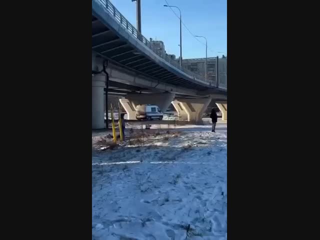 Спасение пса в Петербурге, который не очень хотел спасаться