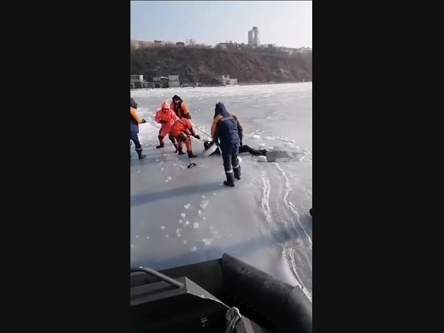 Во Владивостоке спасатели выпилили изо льда тело рыбака...