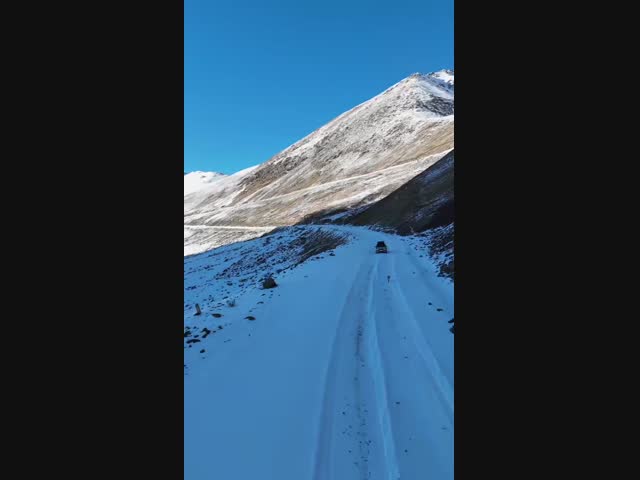 Глупая лиса утащила дрон