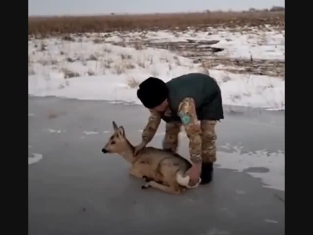 Человек пришел на помощь