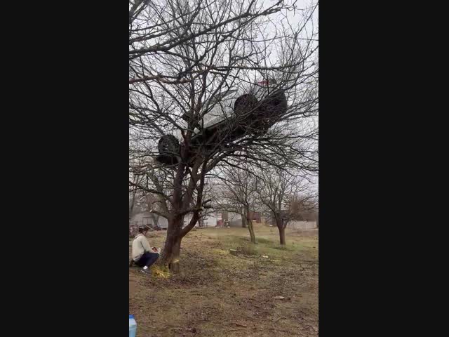 Загадочный автомобиль повис на дереве в Ростове-на-Дону